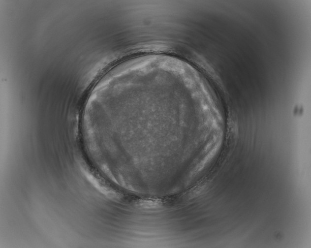 X0000114610110200911101201