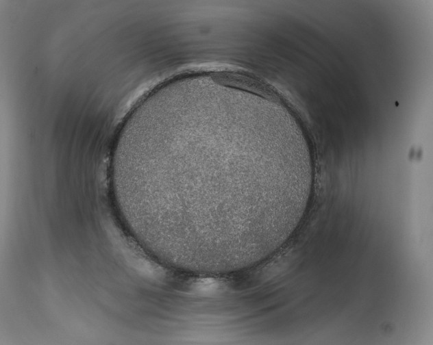 X0000114610111200911101201