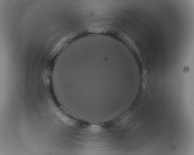 X0000114610114200911101201