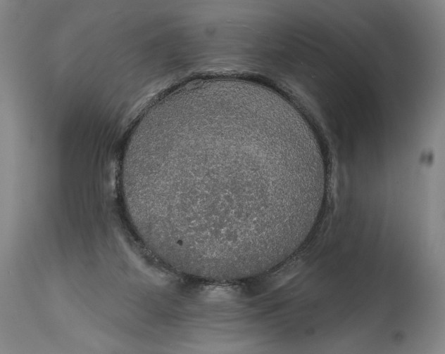 X0000114610115200911101201