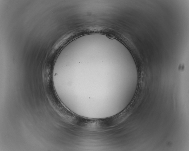 X0000114610116200911101201