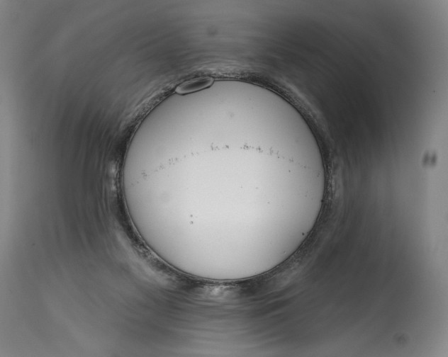 X0000114610117200911101201