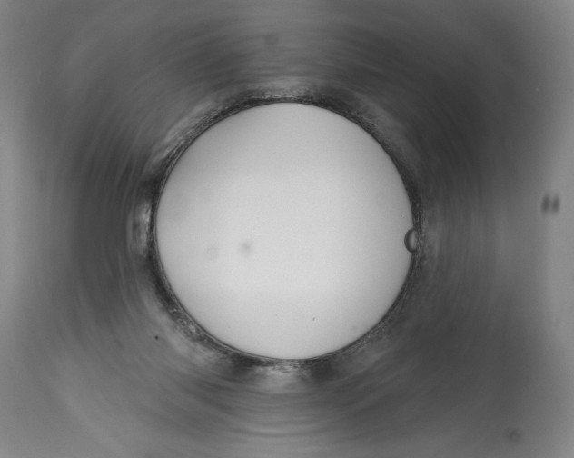 X0000114610118200911101201