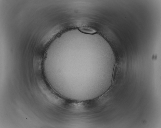 X0000114610120200911101201