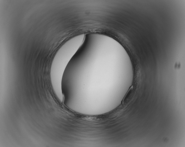 X0000114610121200911101201