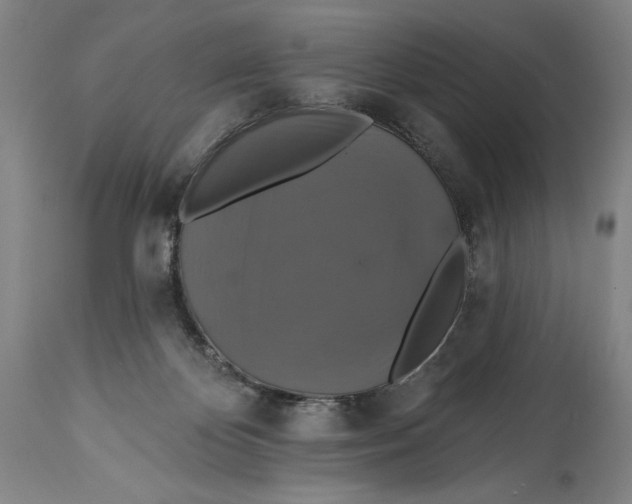 X0000114610124200911101200