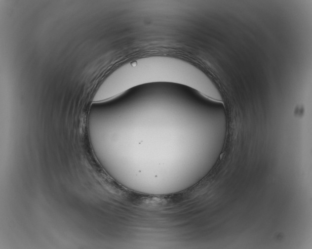 X0000114610125200911101200