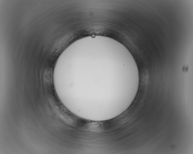 X0000114610126200911101200