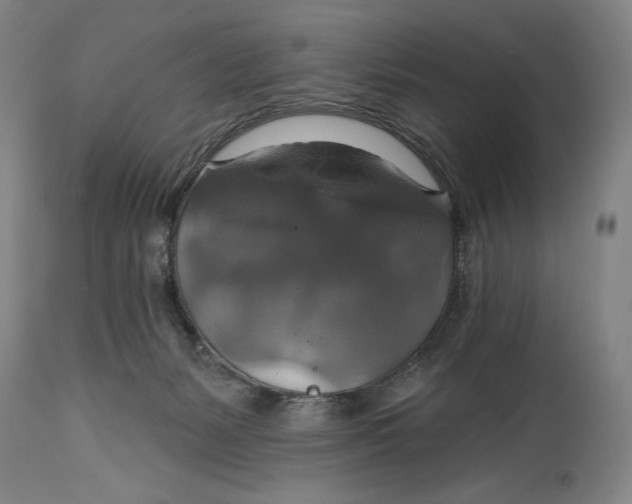 X0000114610127200911101200