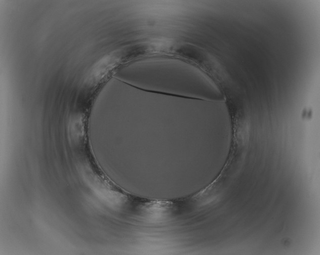 X0000114610128200911101200