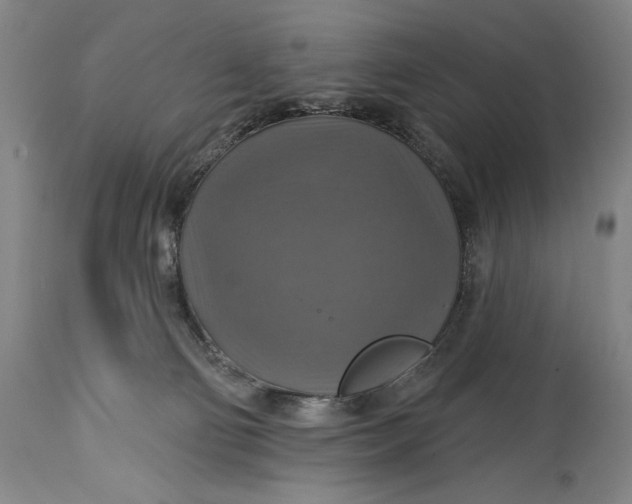 X0000114610130200911101200