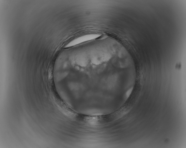 X0000114610131200911101200