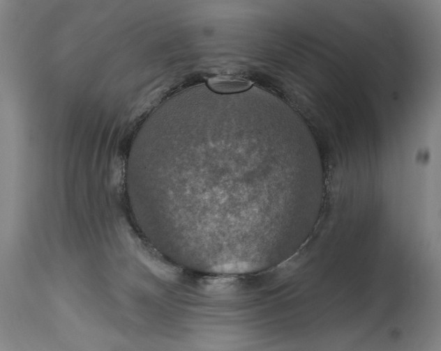 X0000114610132200911101200