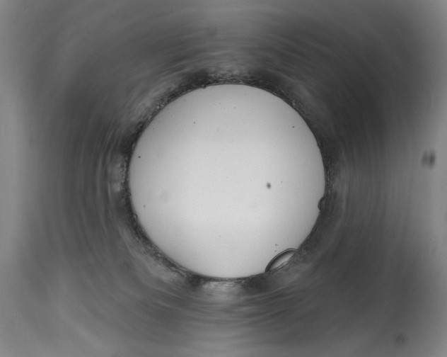 X0000114610133200911101200