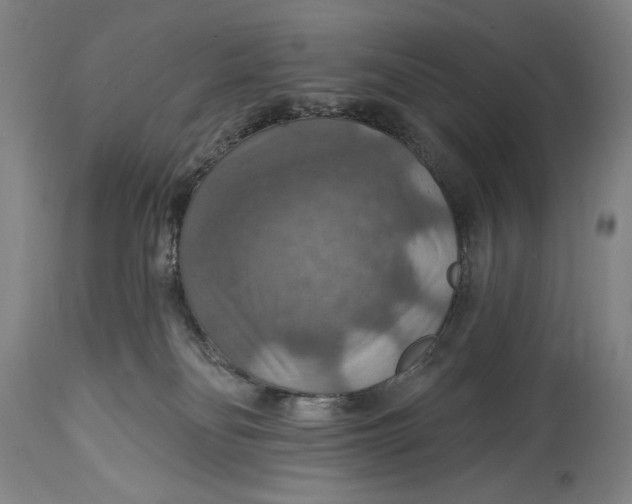 X0000114610134200911101200