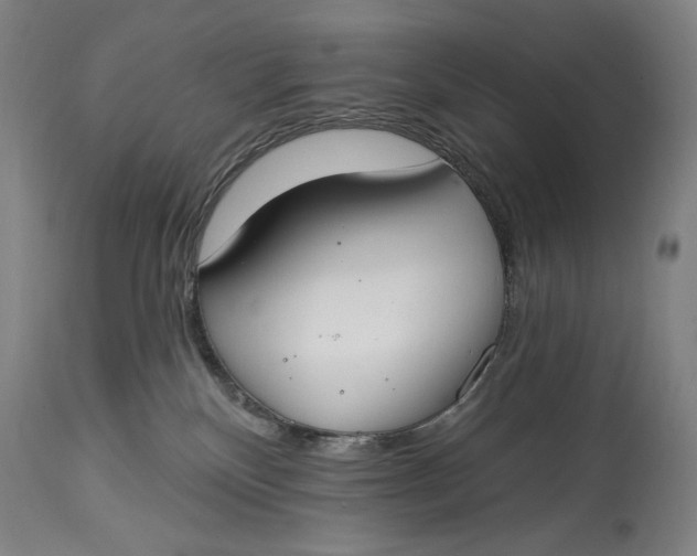 X0000114610136200911101200