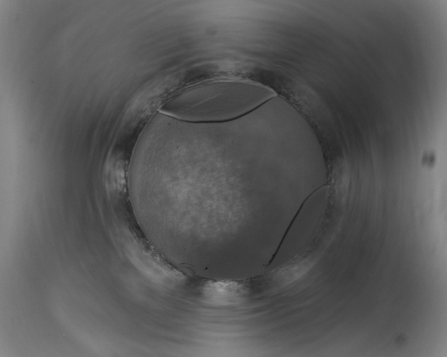 X0000114610137200911101200