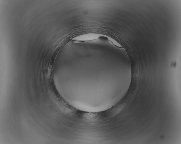 X0000114610139200911101200