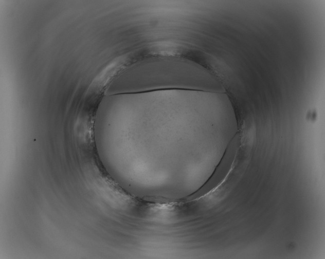 X0000114610140200911101200