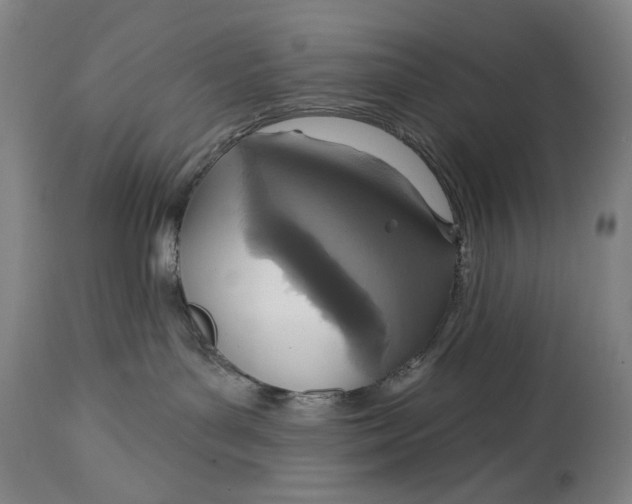 X0000114610143200911101200