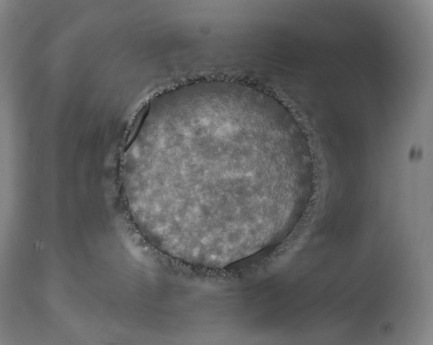 X0000114610144200911101200