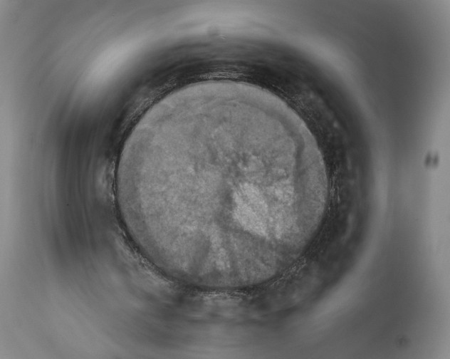 X0000114610146200911101200