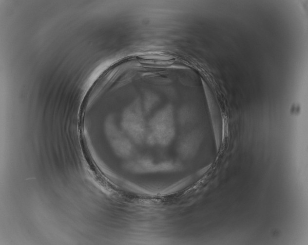 X0000114610147200911101200