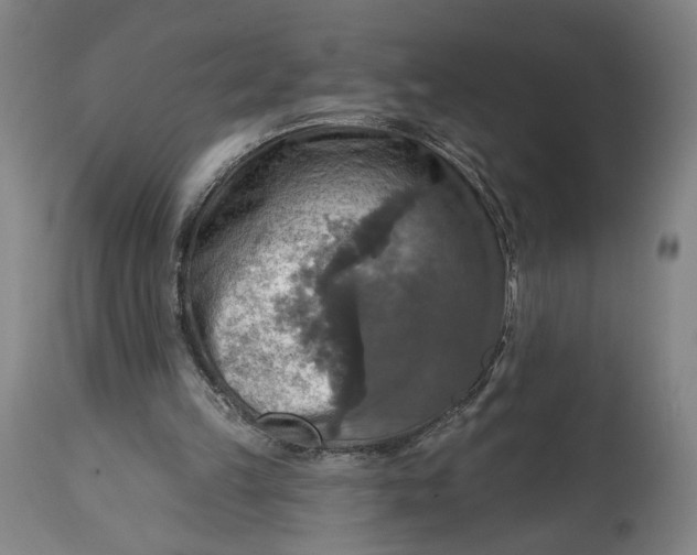 X0000114610149200911101200