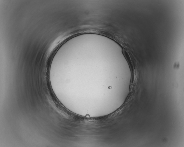 X0000114610150200911101200