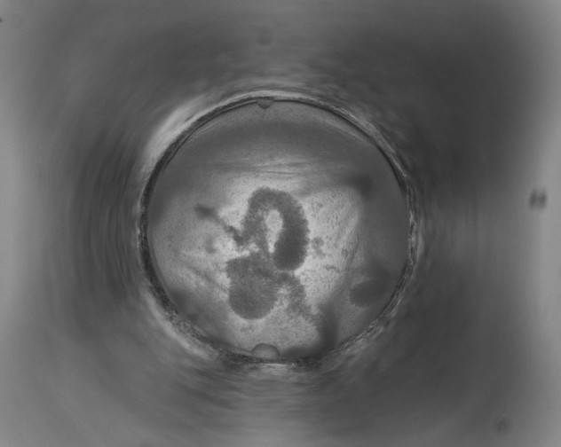 X0000114610151200911101200