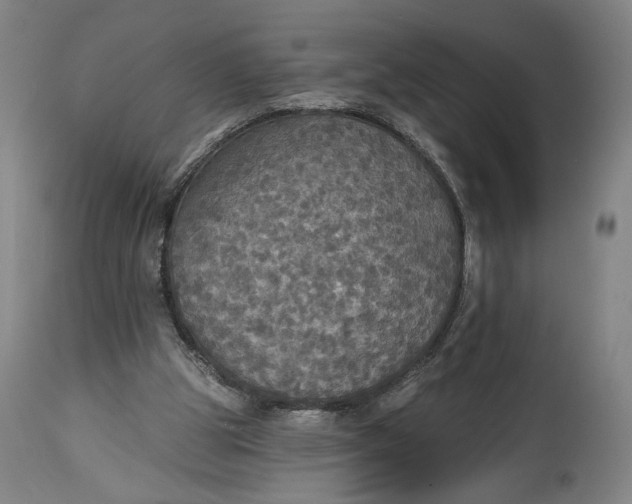 X0000114610153200911101200