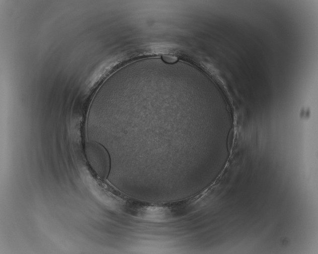 X0000114610154200911101200