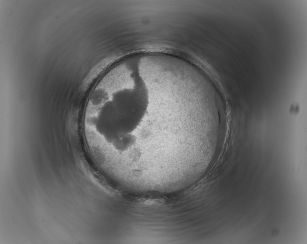 X0000114610155200911101200