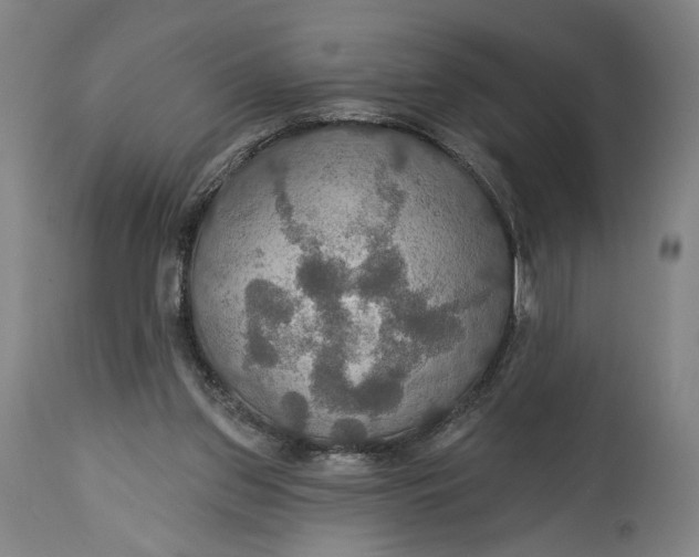 X0000114610157200911101200