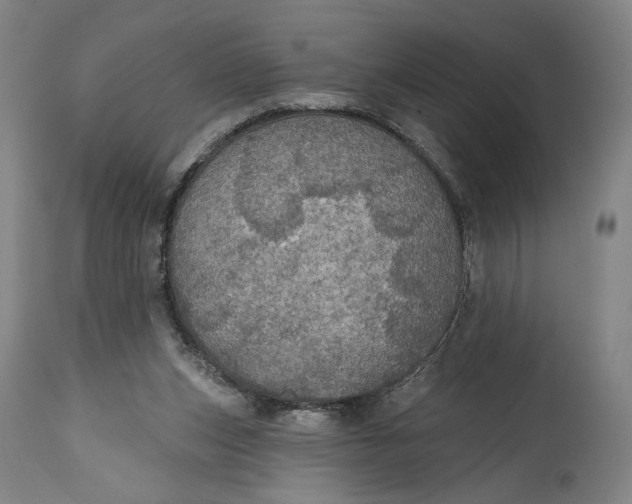 X0000114610159200911101200