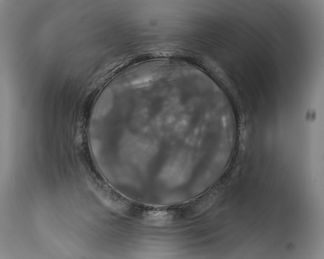 X0000114610161200911101200