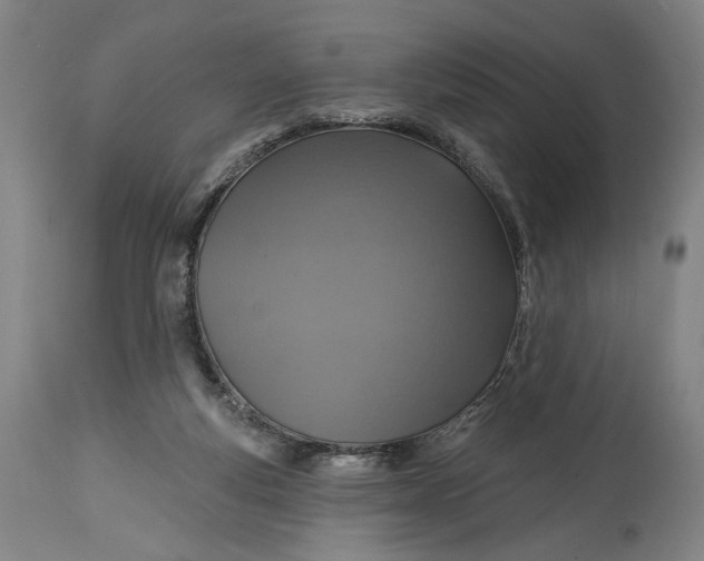 X0000114610163200911101200