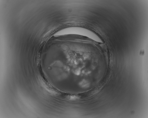 X0000114610165200911101200