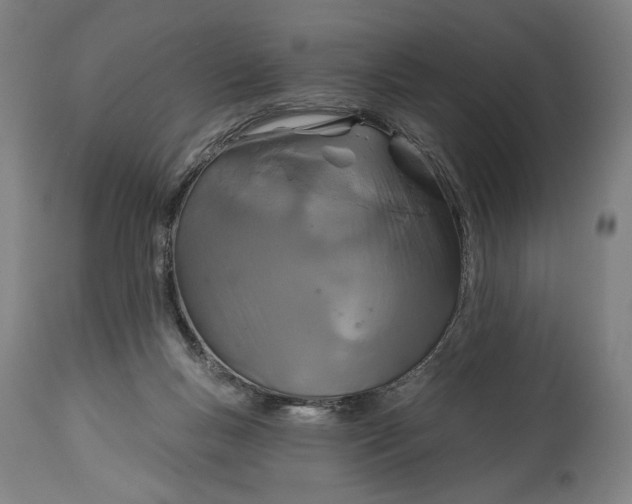 X0000114610167200911101200