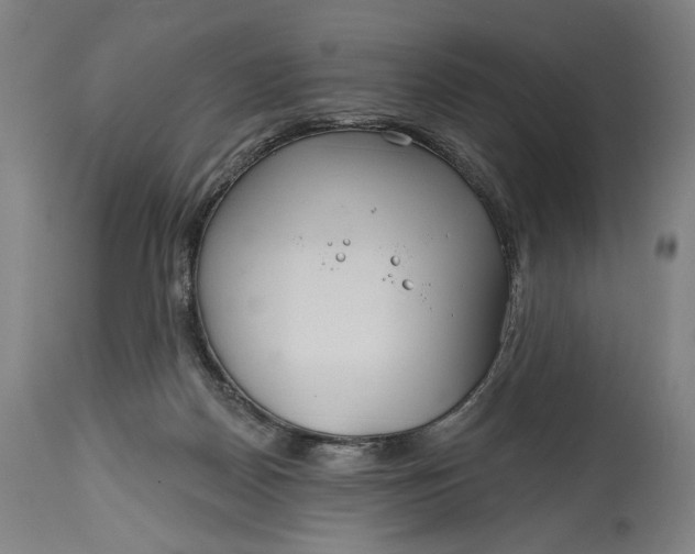 X0000114610170200911101200