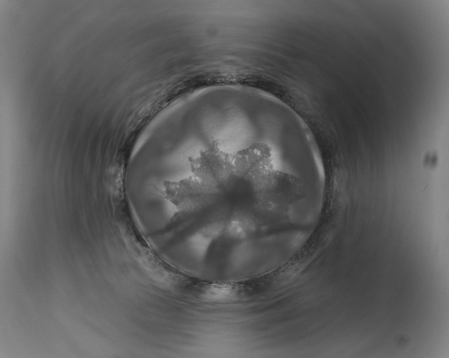 X0000114610177200911101200