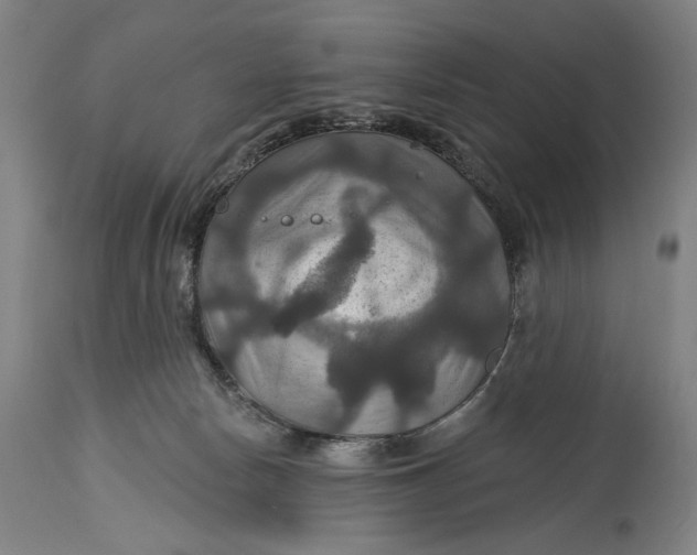 X0000114610178200911101200