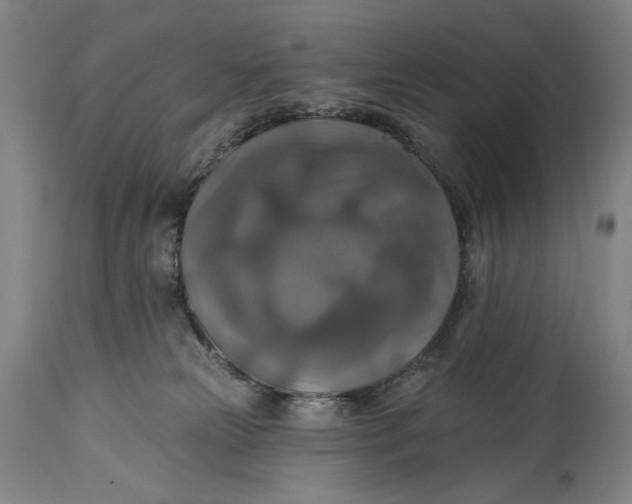 X0000114610181200911101200