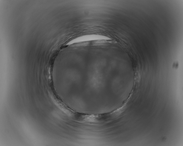 X0000114610182200911101200