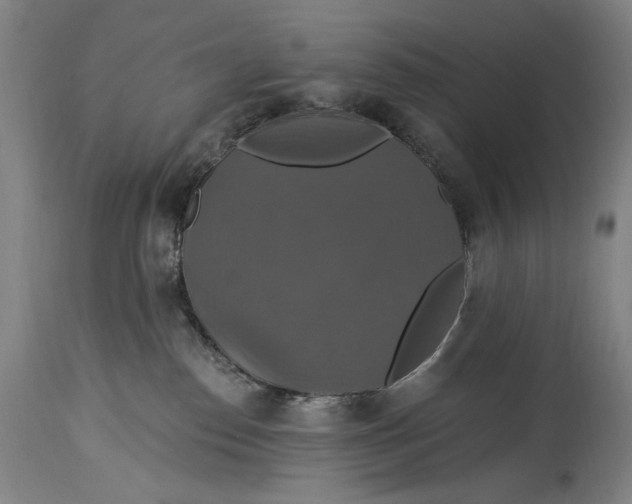 X0000114610186200911101200