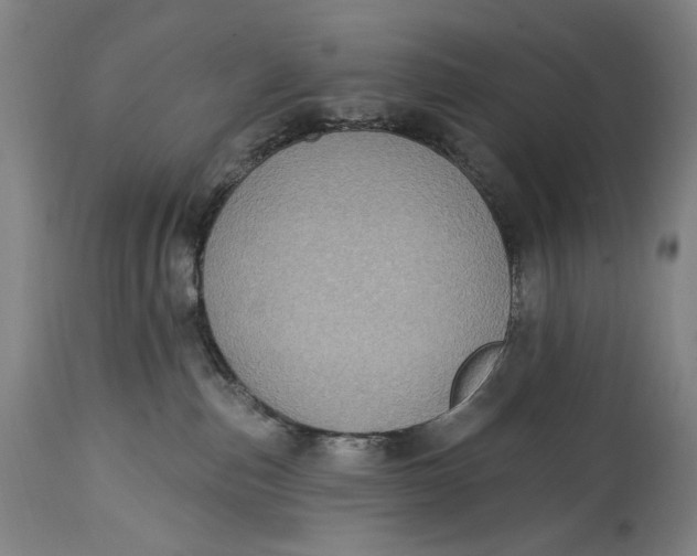 X0000114610187200911101200