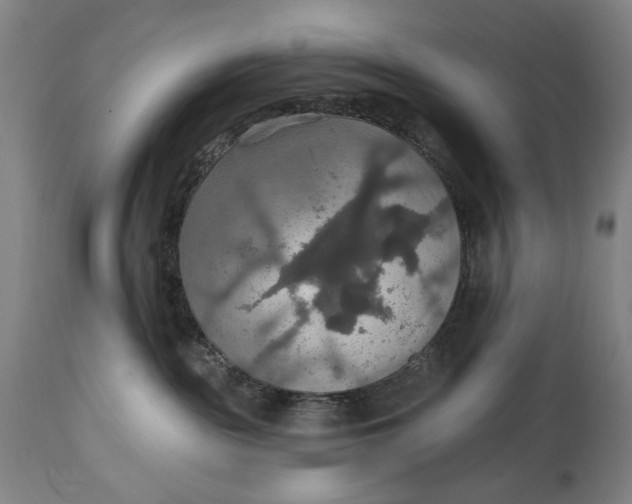 X0000114610189200911101200