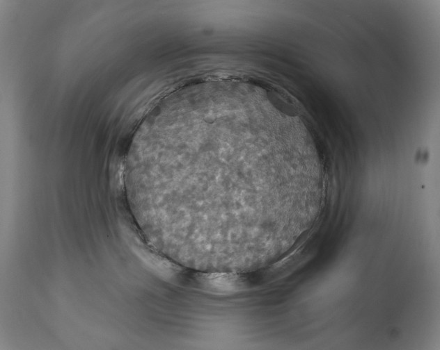 X0000114610191200911101200