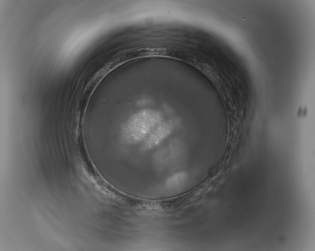 X0000114610194200911101159