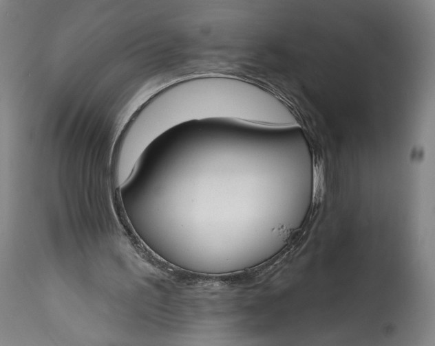 X0000114610195200911101159